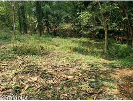 39.75 cents land for sale at thoduppuzha idukki