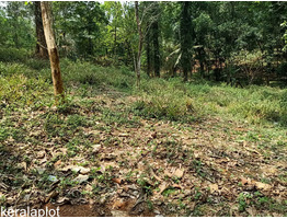 39.75 cents land for sale at thoduppuzha idukki