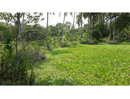 47 cent land sale at cherthala,Alappuzha.