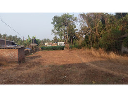 11.75 cent land sale at  Amala Nagar, Thrissur