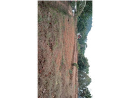 40 cent land sale at kozhippilli,Ernakulam