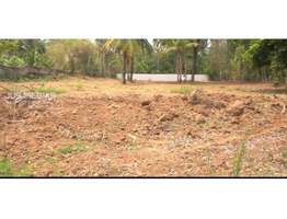 59 cent land  sale  For Sale in  Wadakkanchery  ,palakkad.