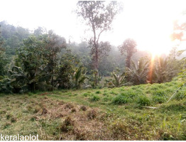 4 Acre land sale at  Murickassery, Idukki.