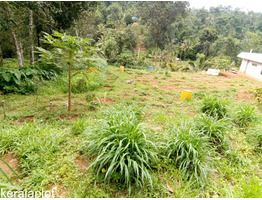 4 Acre land sale at  Murickassery, Idukki.