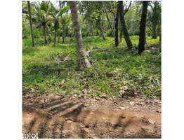 20 cents Land for sale Ernakulam