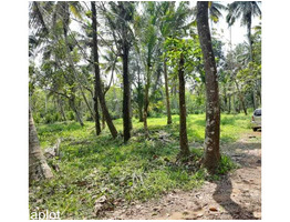 20 cents Land for sale Ernakulam