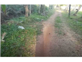 20 cents Land for sale Ernakulam