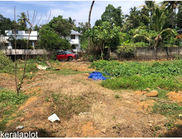 24 Cents of Residential Land for Sale at Angamaly, Ernakulam