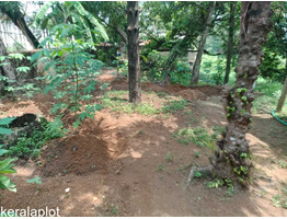 21.75 cents. land for sale at  Angamaly junction Kothokulangara  eranakulam