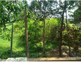 21.75 cents. land for sale at  Angamaly junction Kothokulangara  eranakulam