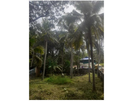 11.5 cent land for sale at thiruvananthapuram