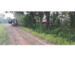 10 Cent plot Near to palakkad- kozhikode main road