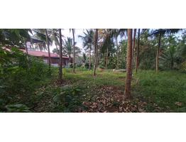 10 Cent plot Near to palakkad- kozhikode main road