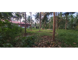 10 Cent plot Near to palakkad- kozhikode main road