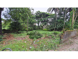 11 cent plot near crown plaza Maradu , Kundanoor