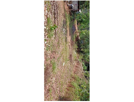 22 cent Land sale at  Pallikkara ,Ernakulam.