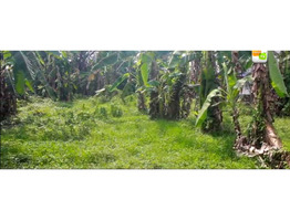 Land  for sale in Thrissur