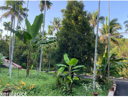 8.20 acre land for sale at pampakuda ernakulam