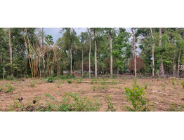 70 cents land for sale  at   Pampady  Kottayam