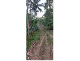 93 cent square plot sale  Wayanad