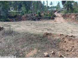 1.49 acres plot for sale at  Chelakode Village, Kondazhy Panchayath , Pazhayannur  Thrissur