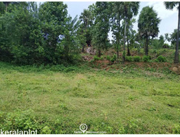 1.49 acres plot for sale at  Chelakode Village, Kondazhy Panchayath , Pazhayannur  Thrissur