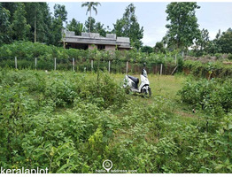 1.49 acres plot for sale at  Chelakode Village, Kondazhy Panchayath , Pazhayannur  Thrissur