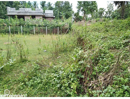 1.49 acres plot for sale at  Chelakode Village, Kondazhy Panchayath , Pazhayannur  Thrissur