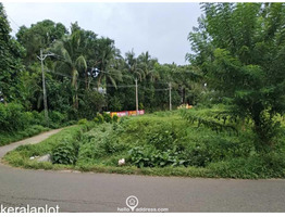 1.49 acres plot for sale at  Chelakode Village, Kondazhy Panchayath , Pazhayannur  Thrissur