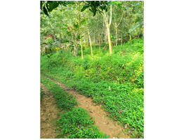 40 cent plot for sale at ranni athikkayam pathanamthitta