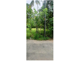 12 cent Land sale at  vadakkekara, alumavu, Ernakulam.