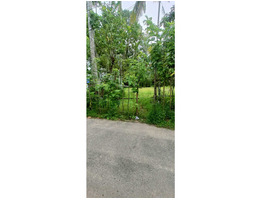 12 cent Land sale at  vadakkekara, alumavu, Ernakulam.