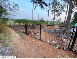 300 meters inside the Thiruvilwamala Town