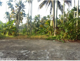 1 ACRE 16 CENTS OF LAND FOR SALE AT KUNDUR, THRISSUR.