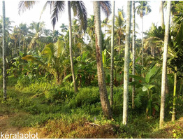 1 ACRE 16 CENTS OF LAND FOR SALE AT KUNDUR, THRISSUR.