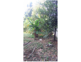 6 cent land for sale at Thrissur