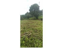 20cent land for sale at pathanamthitta