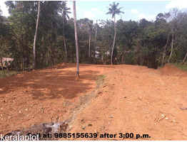 HOUSE PLOT FOR SALE