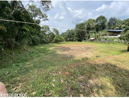 40 Cent Residential Land for Sale in Thodupuzha