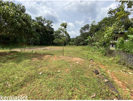 40 Cent Residential Land for Sale in Thodupuzha