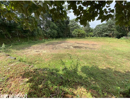 40 Cent Residential Land for Sale in Thodupuzha