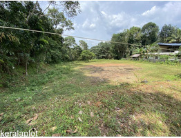 40 Cent Residential Land for Sale in Thodupuzha