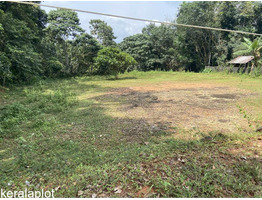 40 Cent Residential Land for Sale in Thodupuzha