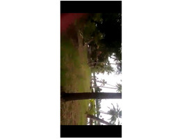 27.38 Acre Land For sale at Cherthala Alapuzha district