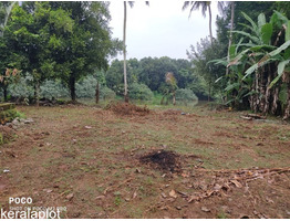 65 Cents of Water Frontage Land for Sale at Thirumoolapuram, Pathanamthitta