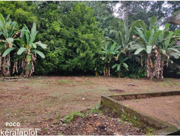 65 Cents of Water Frontage Land for Sale at Thirumoolapuram, Pathanamthitta