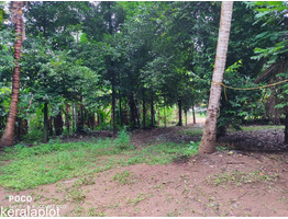 65 Cents of Water Frontage Land for Sale at Thirumoolapuram, Pathanamthitta