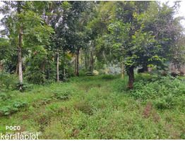 65 Cents of Water Frontage Land for Sale at Thirumoolapuram, Pathanamthitta