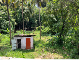 Agricultural Land for Sale in Iritty, Iritty, Kannur