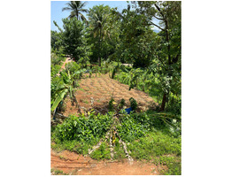 Agricultural Land for Sale in Iritty, Iritty, Kannur